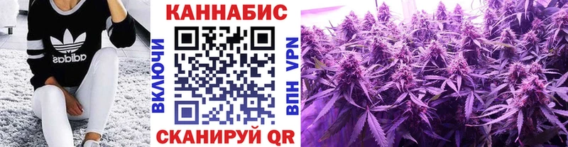 Магазины продажи наркотиков Плёс A PVP  Марихуана  Мефедрон  Гашиш 
