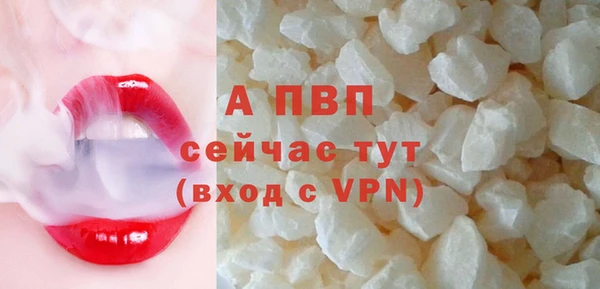 гашик Белокуриха
