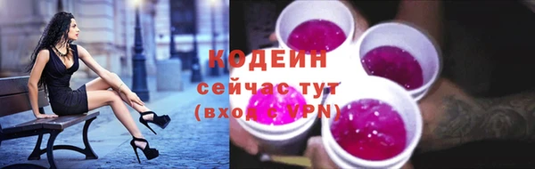 гашик Белокуриха