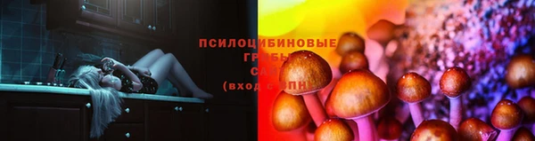 гашик Белоозёрский