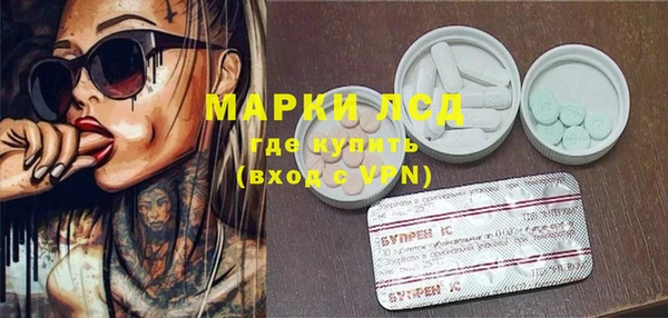 гашик Белокуриха