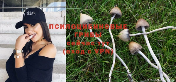 гашик Белоозёрский